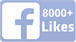 Facebook Likes for Mouse2u.com